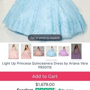 Princesa by Ariana Vara